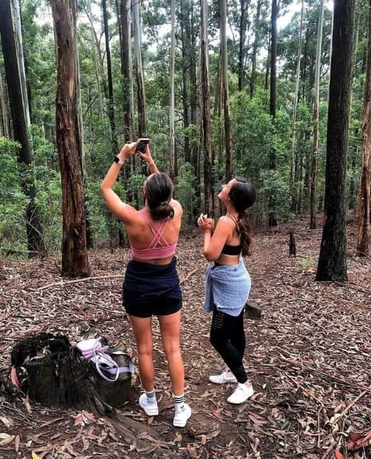 Ella: Ella Rock, 9 Arch, Little Adams Peak, & Waterfall Tour - Key points to know before booking