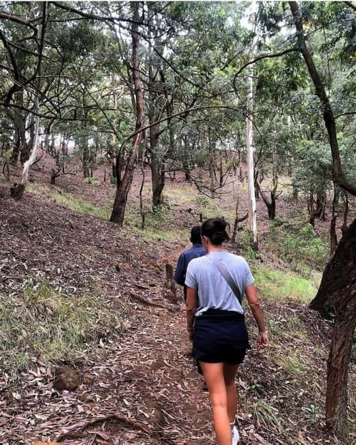 Ella: Ella Rock, 9 Arch, Little Adams Peak, & Waterfall Tour - Demodara Loop and the train to Ella