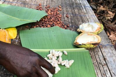 Experience Boti Waterfalls, Aburi Botanical Gardens & Tetteh Quarshie Cocoa Farm