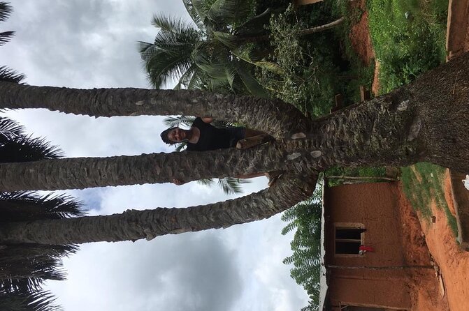 Experience Boti Waterfalls, Aburi Botanical Gardens & Tetteh Quarshie Cocoa Farm - Guides, timing, and the small practical details