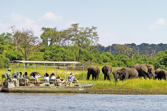 Explore Chobe National Park With a Day Trip from Victoria Falls - At a glance