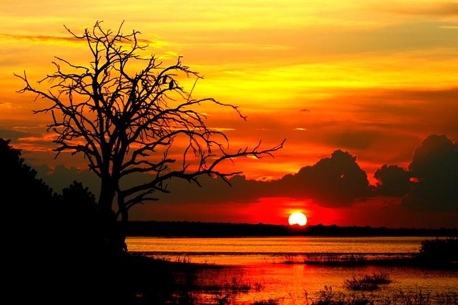 Explore Chobe National Park With a Day Trip from Victoria Falls - Why Chobe works as a day trip from Victoria Falls