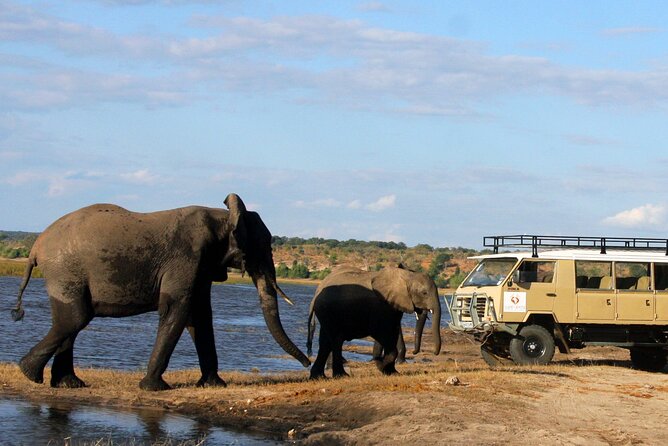 Explore Chobe National Park With a Day Trip from Victoria Falls - The border crossing deserves serious planning