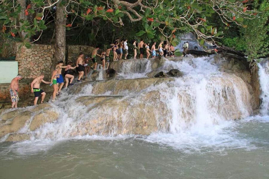 Falmouth: Bamboo Beach Club & Dunn's River Falls - Key points to know before you book