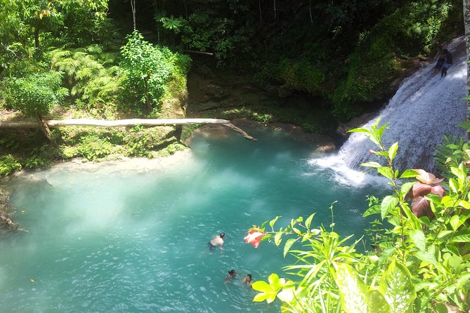 Falmouth Dunns River Falls and Blue Hole Excursion - Key points to know before booking