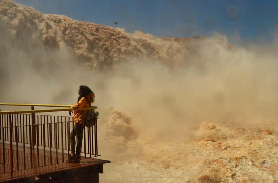 Foz do Iguaçu: Brazil/Argentina Sides Iguazu Falls Day Tour - Who should book this Iguazu Falls tour?