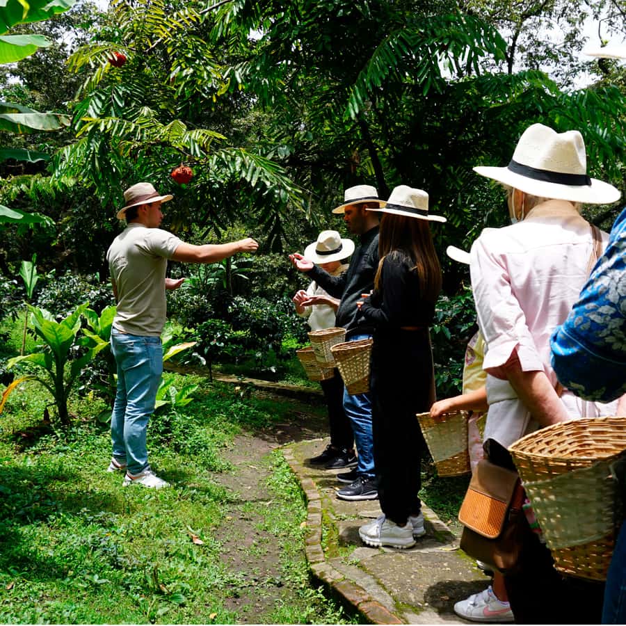 From Bogotá: Coffee Farm and Tequendama Falls Tour - Why this day trip works from Bogotá