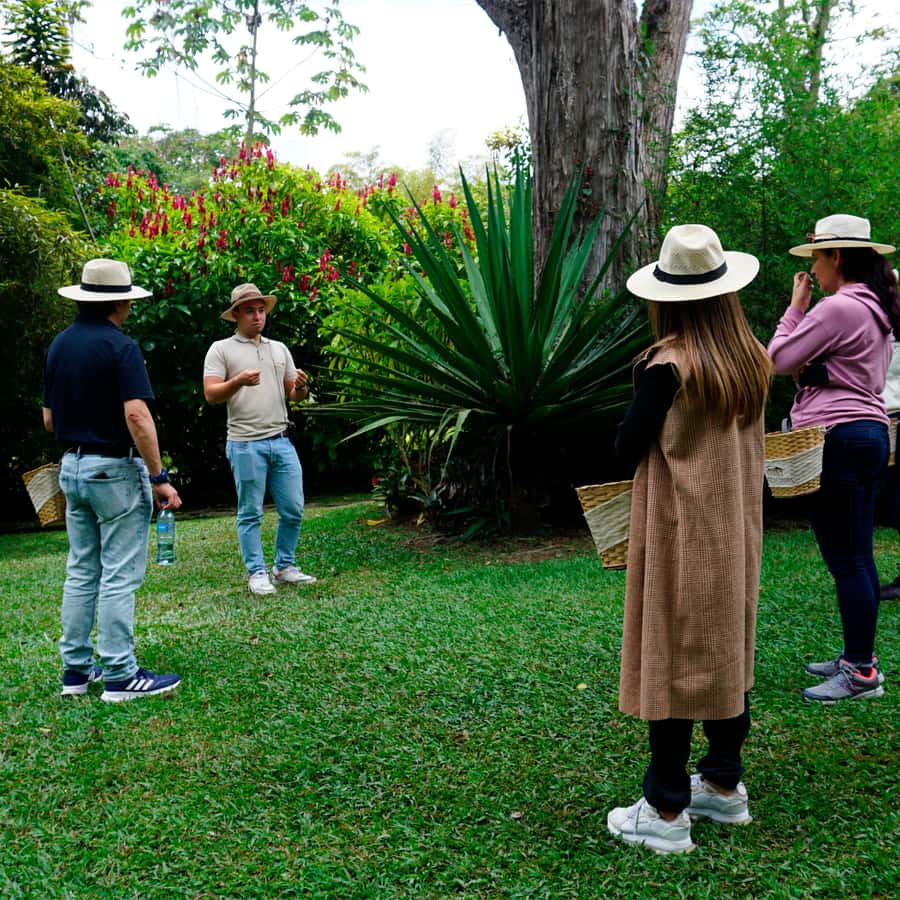 From Bogotá: Coffee Farm and Tequendama Falls Tour - Guides who make the long day easier