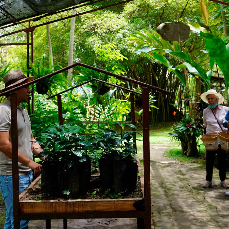 From Bogotá: Coffee Farm and Tequendama Falls Tour - Should you book this coffee and waterfall tour?
