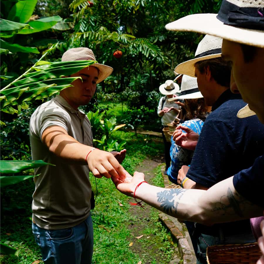 From Bogotá: Coffee Farm and Tequendama Falls Tour - The road south from Bogotá