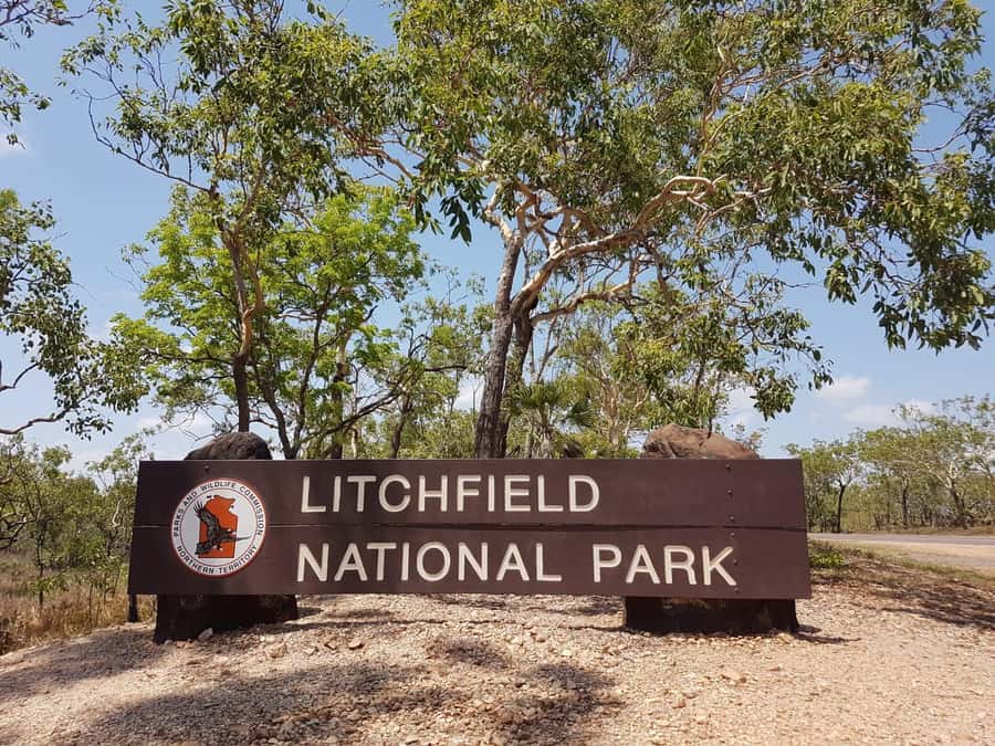 From Darwin: Litchfield National Park & Waterfalls Day Trip - Why Litchfield Works as a Darwin Day Trip