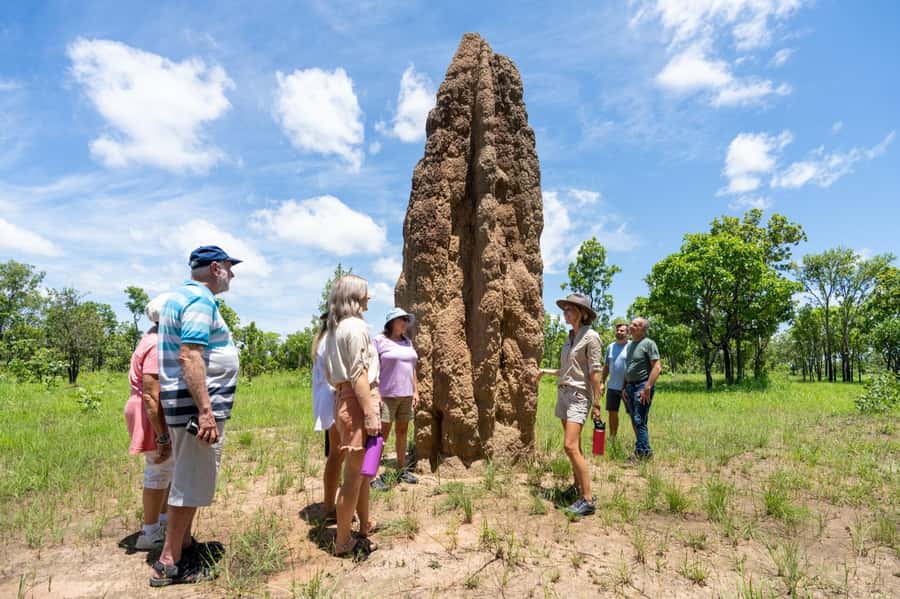 From Darwin: Litchfield National Park & Waterfalls Day Trip - Leaving Darwin for Adelaide River