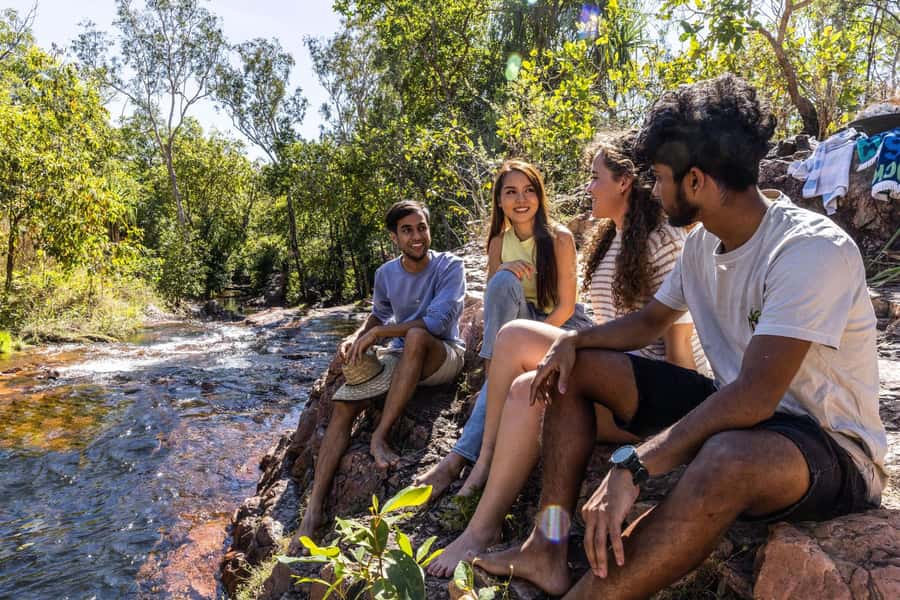 From Darwin: Litchfield National Park & Waterfalls Day Trip - The Final Scenic Stops and Wetland Wildlife