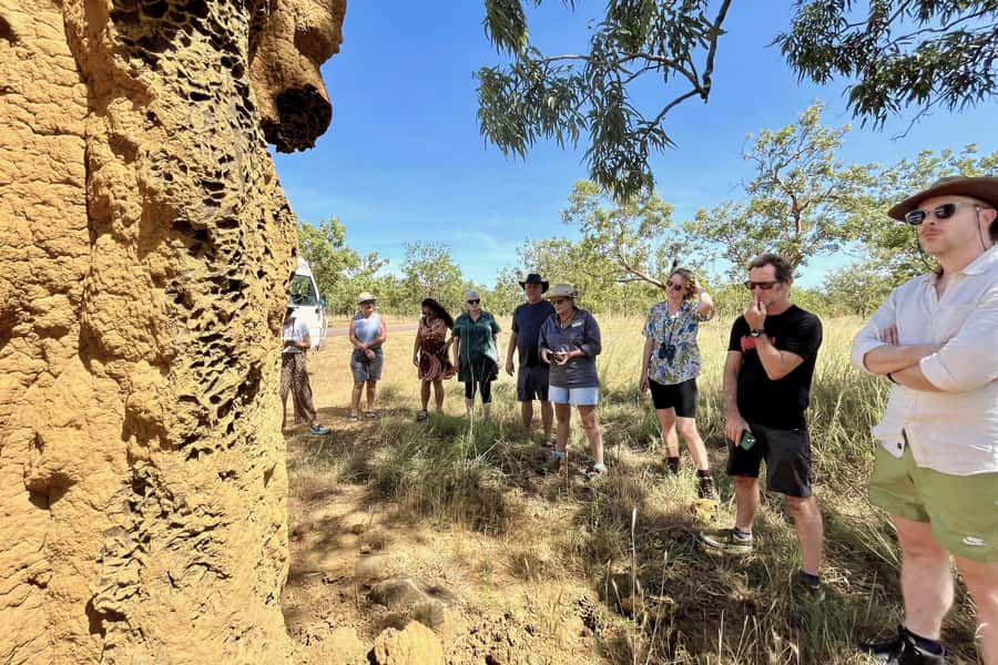 From Darwin: Litchfield National Park & Waterfalls Day Trip - What the Guides Add to a Long Day