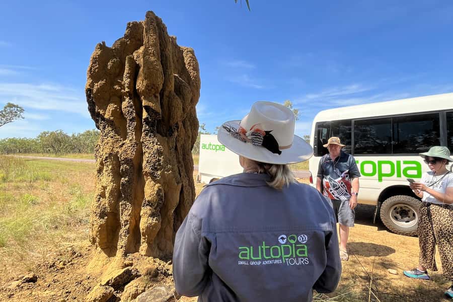 From Darwin: Litchfield National Park & Waterfalls Day Trip - Price, Inclusions, and the Real Cost