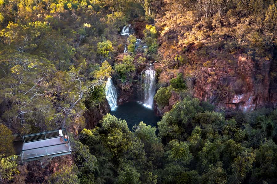 From Darwin: Litchfield National Park & Waterfalls Day Trip - Giant Termite Mounds and Top End Adaptation