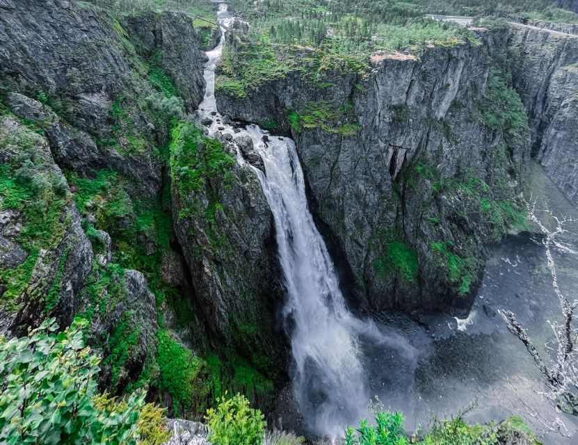 From Eidfjord: Vøringfossen Waterfall Nature Tour with Guide - Guide quality is a major part of the value