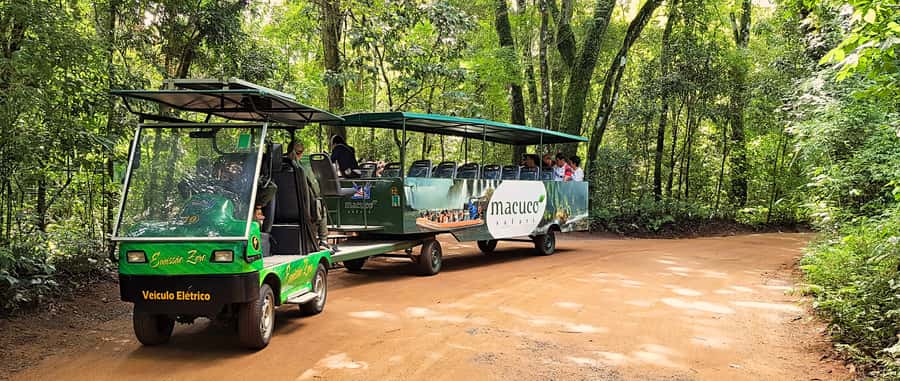 From Foz do Iguazu: Brazil Iguazu Falls & Macuco Safari Boat - What the Macuco Safari boat is really like
