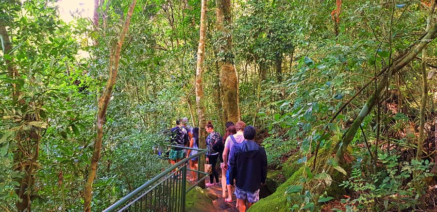 From Foz do Iguazu: Brazil Iguazu Falls & Macuco Safari Boat - Timing, queues, and the shape of the day