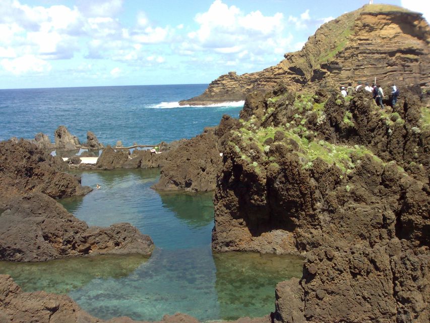 From Funchal: West Madeira Waterfalls and Fanal Forest Tour - Key points to know before booking