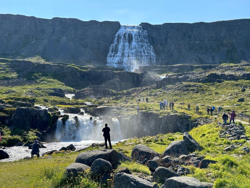 From Isafjordur: Dynjandi Waterfall Guided Day Trip by Bus - Who will enjoy this tour most?