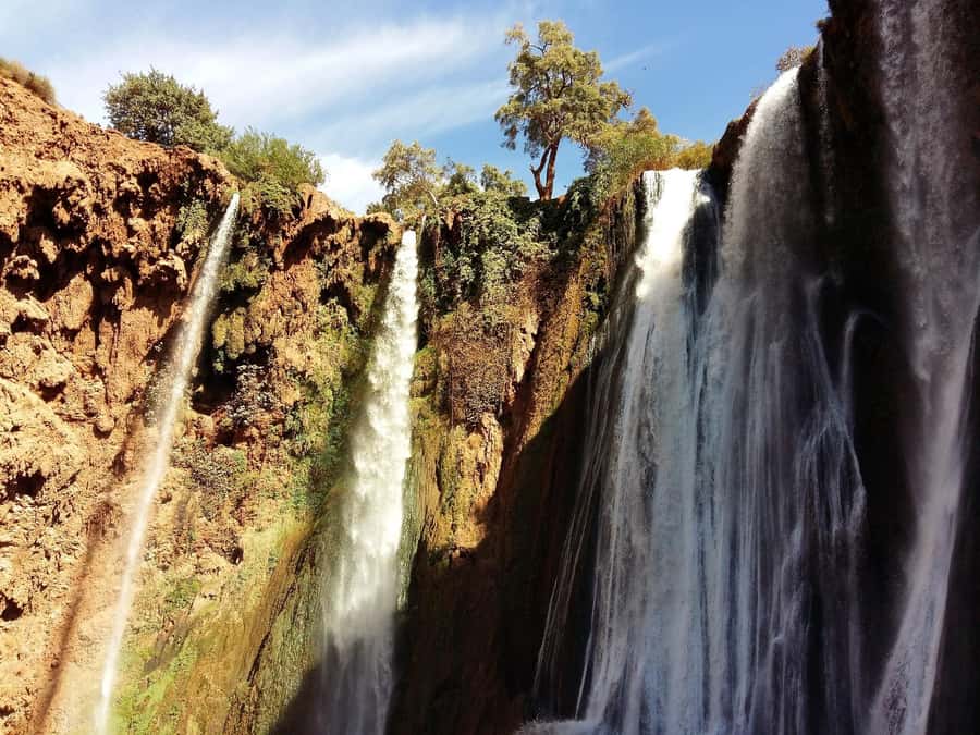 From Marrakech: Day Tour to Ouzoud Waterfalls - Key points to know before you book