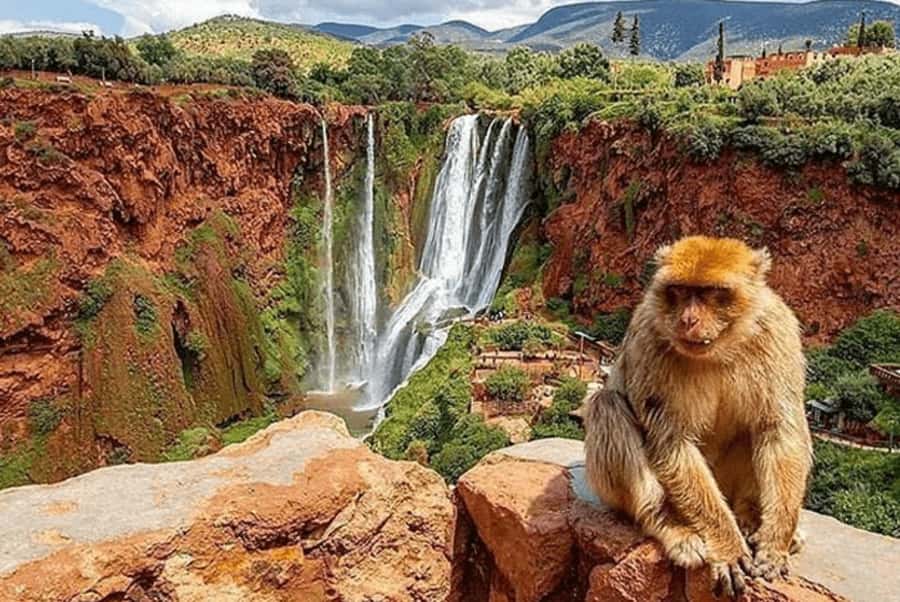 From Marrakech: Guided Ouzoud Waterfalls Tour with Boat Ride - Why Ouzoud makes a good day away from Marrakech