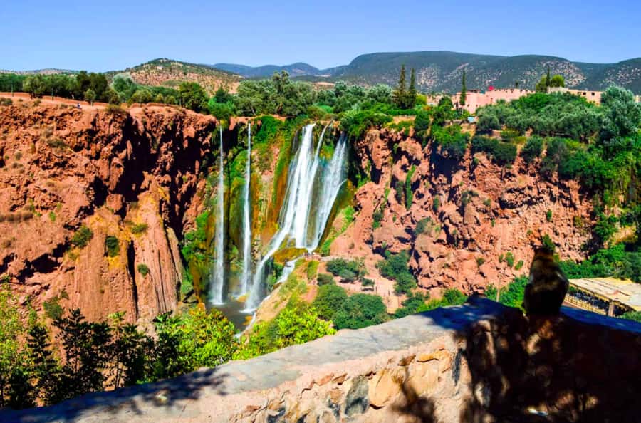 From Marrakech: Guided Ouzoud Waterfalls Tour with Boat Ride - What the local guide adds to the walking route