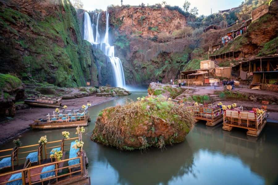 From Marrakech: Guided Ouzoud Waterfalls Tour with Boat Ride - Barbary apes, cats, and the need for common sense