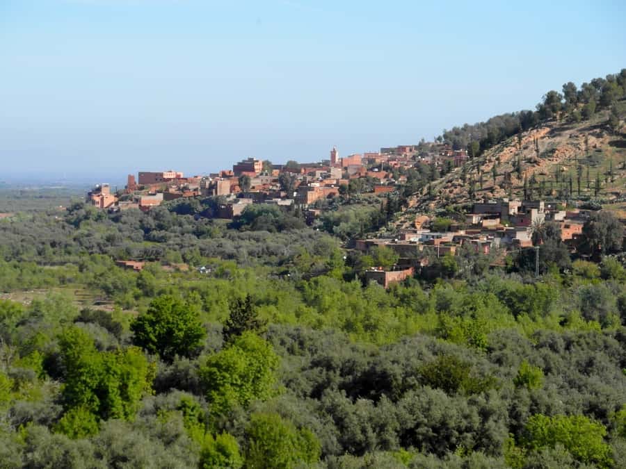 From Marrakech: Ourika Valley & Atlas Mountains Waterfalls - Is the Ourika Valley tour worth booking?