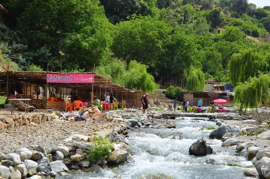 From Marrakech: Ourika Valley & Atlas Mountains Waterfalls - The argan oil cooperative and its shopping stop