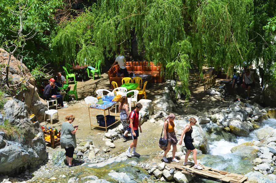 From Marrakech: Ourika Valley & Atlas Mountains Waterfalls - Who will enjoy this day trip most
