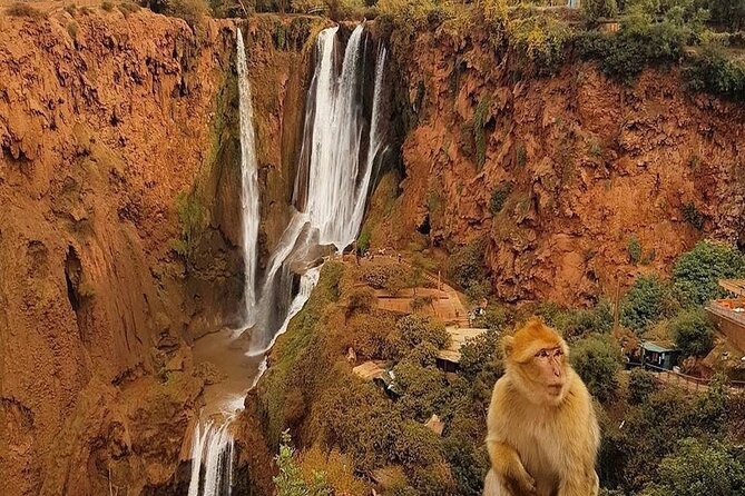 From Marrakech: Ouzoud Waterfalls Guided Hike and Boat Trip - Fresh orange juice and the path to the lower pool