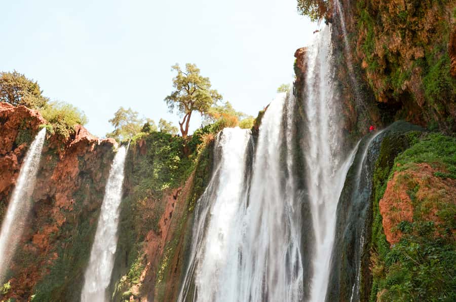 From Marrakech: Ouzoud Waterfalls Guided Tour & Boat Ride - Barbary macaques and the olive groves