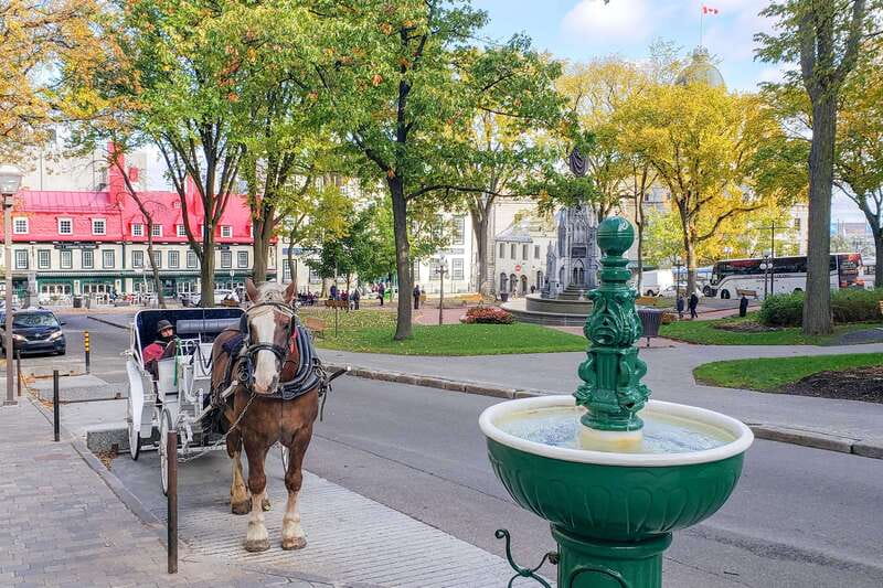 From Montreal: Quebec City and Montmorency Falls Day Trip - Who should book this trip