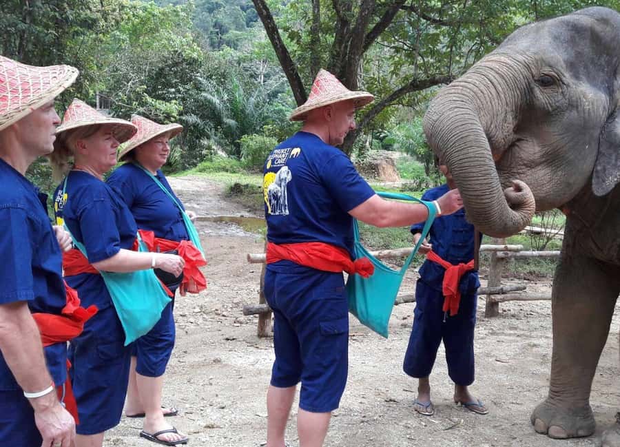 From Phuket & Khao Lak: Elephant Care with Waterfall Visit - Meeting elephants without rides or performances