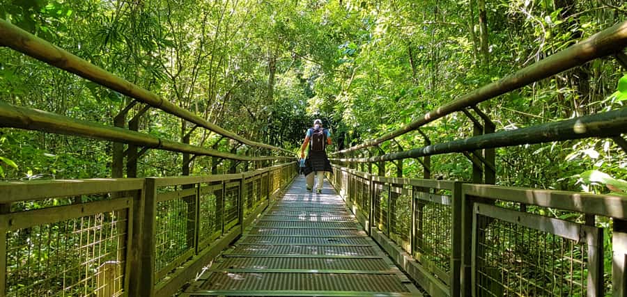 From Puerto Iguazu: Argentinian Iguazu Falls with Boat Ride - The guide can make or break the schedule