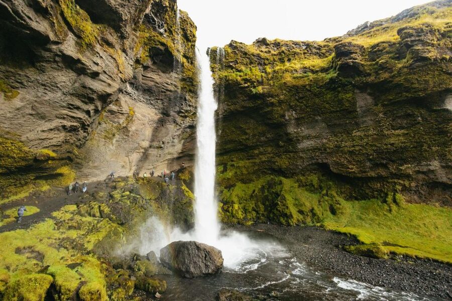 From Reykjavík: Waterfalls, Black Beach & Glacier Day Trip - The optional Sólheimajökull glacier hike