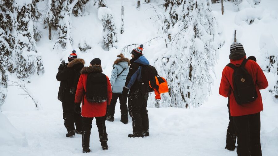 From Rovaniemi: Korouoma Canyon and Frozen Waterfalls Tour - Who should book this Korouoma outing?