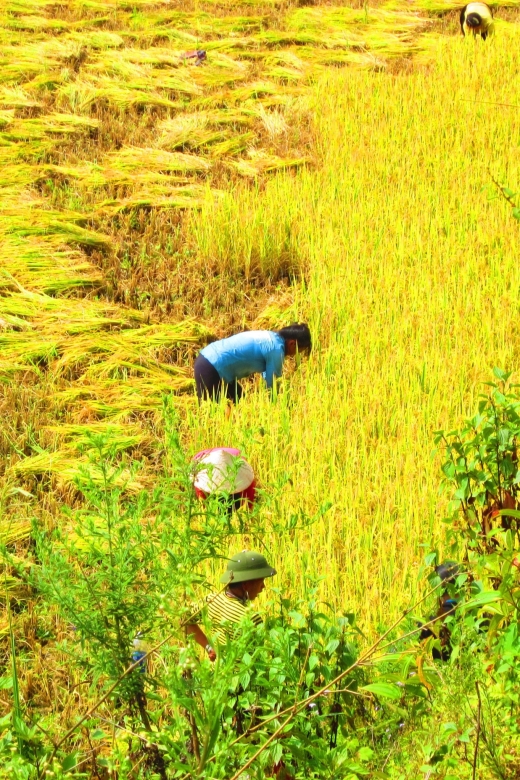 From Sapa: Waterfalls, Trekking and Tribal Villages Tour - Key points at a glance