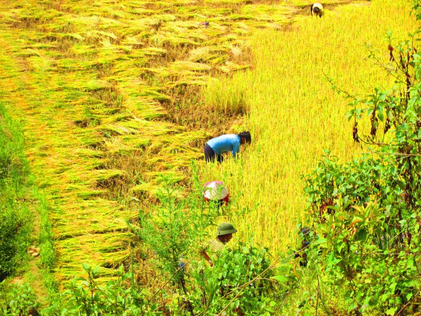 From Sapa: Waterfalls, Trekking and Tribal Villages Tour - Transport, group size, and guide support