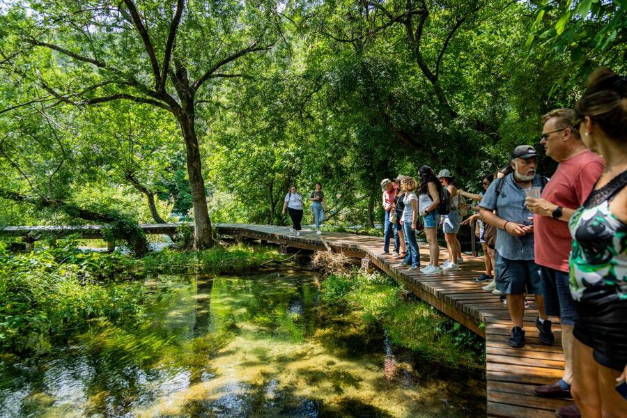 From Split: Krka Waterfalls Cruise & Trogir Walking Tour - The guides and the way the day is run