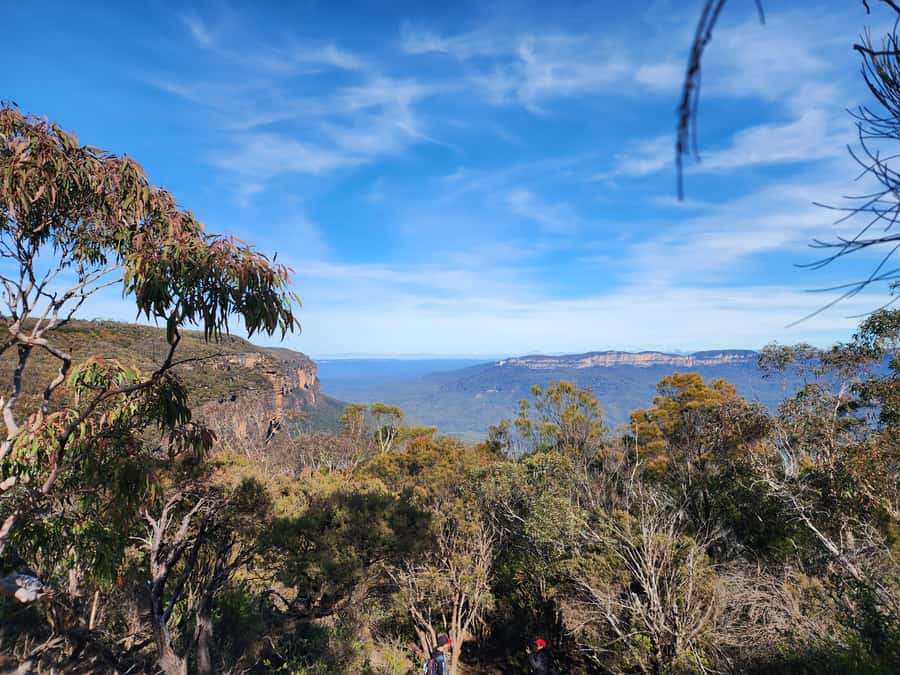From Sydney: Blue Mountains Tour with Waterfall Walk & Lunch - The waterfall walk and its optional hard section