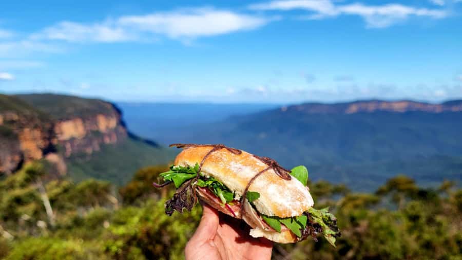 From Sydney: Blue Mountains Tour with Waterfall Walk & Lunch - Lunch that suits a walking day