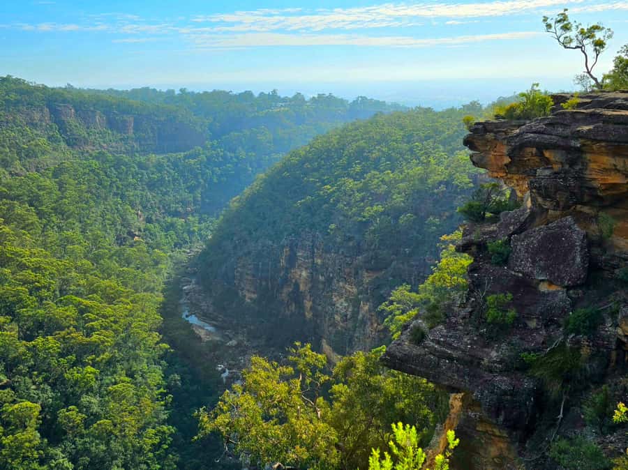 From Sydney: Blue Mountains Tour with Waterfall Walk & Lunch - Transport, timing, and group size