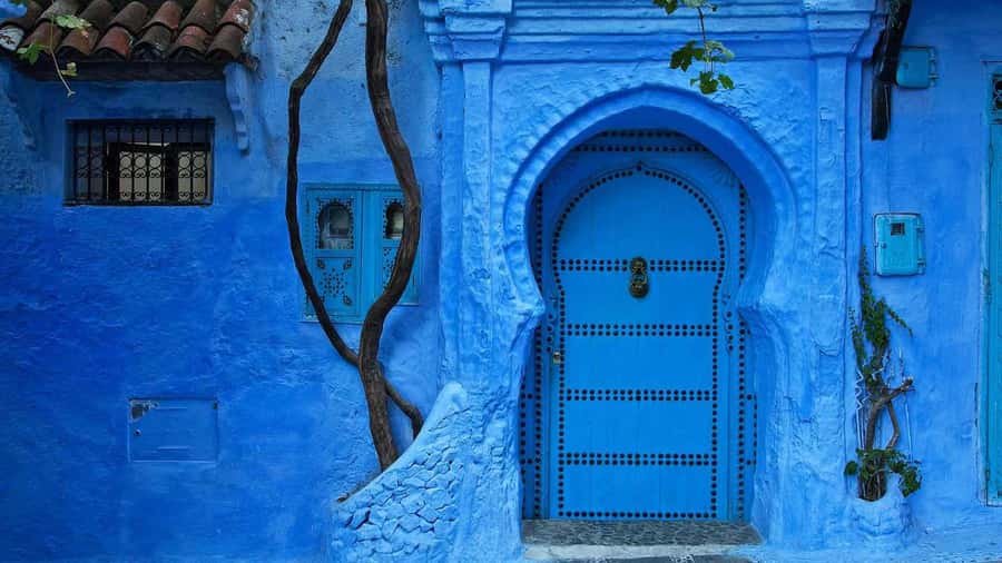 From Tangier: Day Trip to Chefchaouen and Akchour Waterfalls - Should you book it?