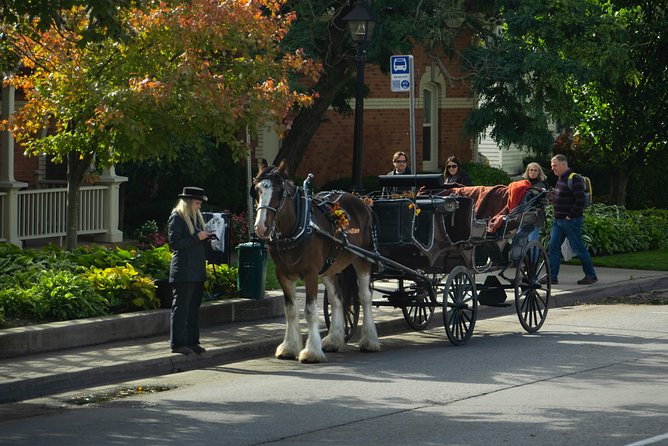 FROM TORONTO: Niagara Day Tour w/ Niagara on the Lake & Boat Ride - The Niagara River Parkway and its short scenic stops