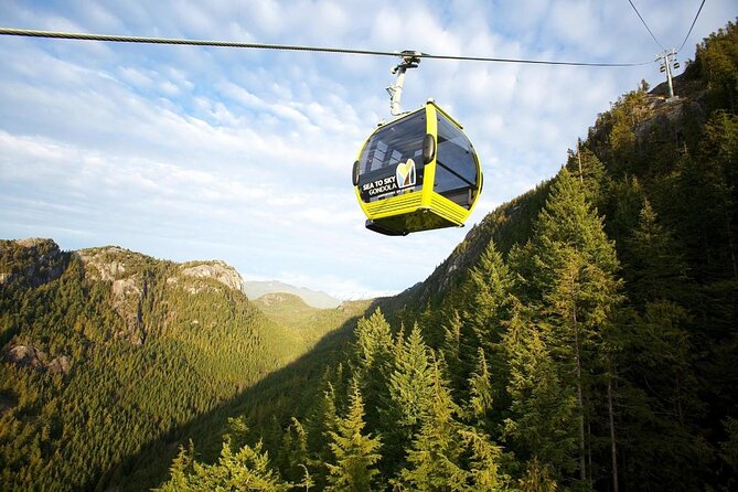 From Vancouver: Whistler & Sea to Sky Gondola with Shannon Falls - Key points before you book