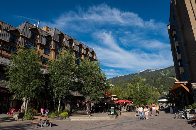 From Vancouver: Whistler & Sea to Sky Gondola with Shannon Falls - Who will get the most from this tour