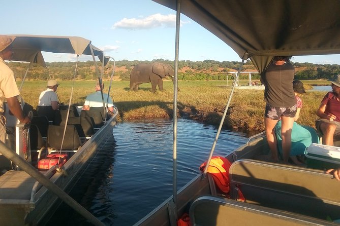From Victoria Falls: Chobe National Park Small Group Tour - The 10-Hour Schedule and Its Physical Demands